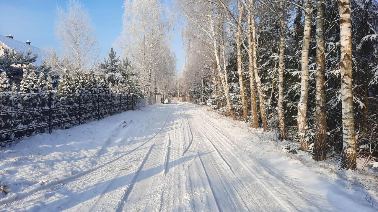 Domek Caloroczny Nad Jeziorem Budzislawskim, Wielkopolska Na Wynajem Anastazewo Exterior foto